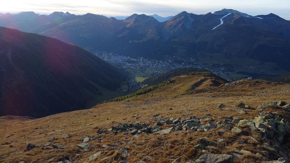 Nästa vecka ska Davos, som vanligt, vara värd för World Economic Forums årliga konferens, men skidortens bergssidor är inte täckta av snö utan av dött, brunt gräs