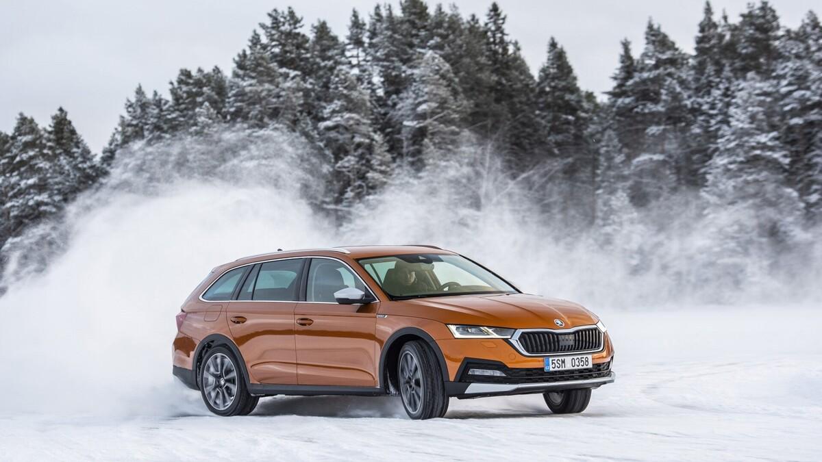 Octavia Scout på ställ