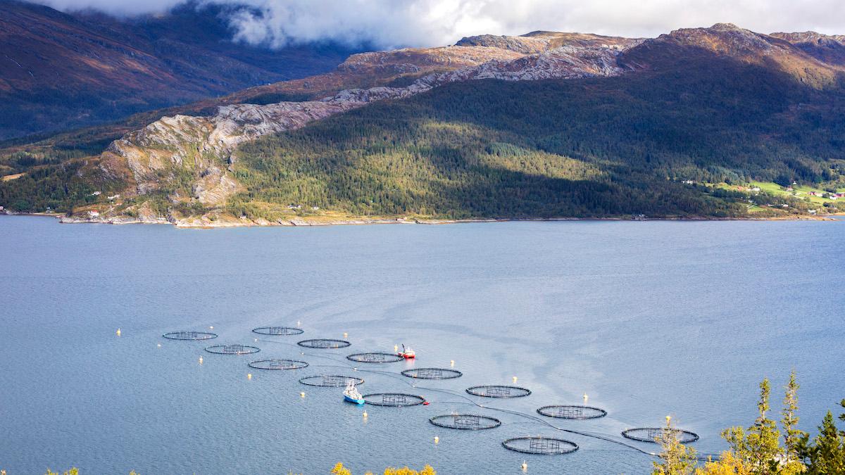 Fiskodling i Norge, slammet från fiskodlingar ska samlas in och användas för att producera gödningsmedel och energi