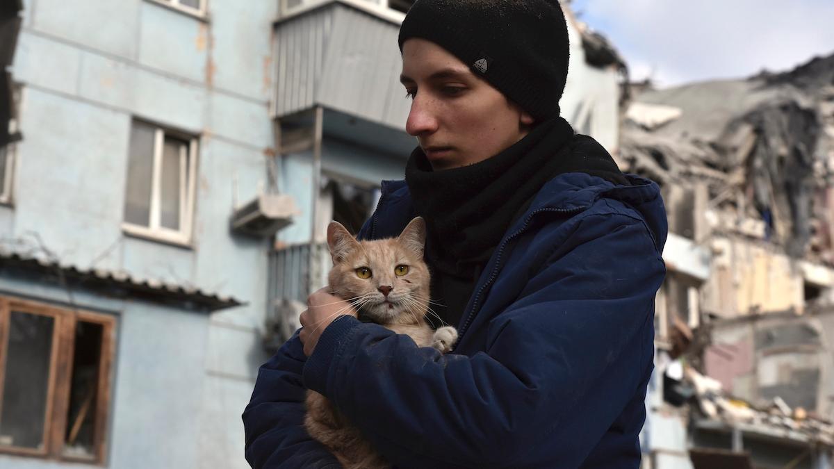 En man har räddat en katt efter att ett bostadshus i Zaporizhzhia träffats av en rysk missil. Natten till torsdag drabbades många städer i Ukraina av ryska missil- och drönarattacker