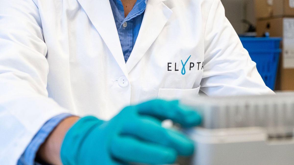Elyptas blod- och urinprovsteknik baseras på biomarkörer från människans metabolism och kan upptäcka flera typer av cancer i ett tidigt stadium