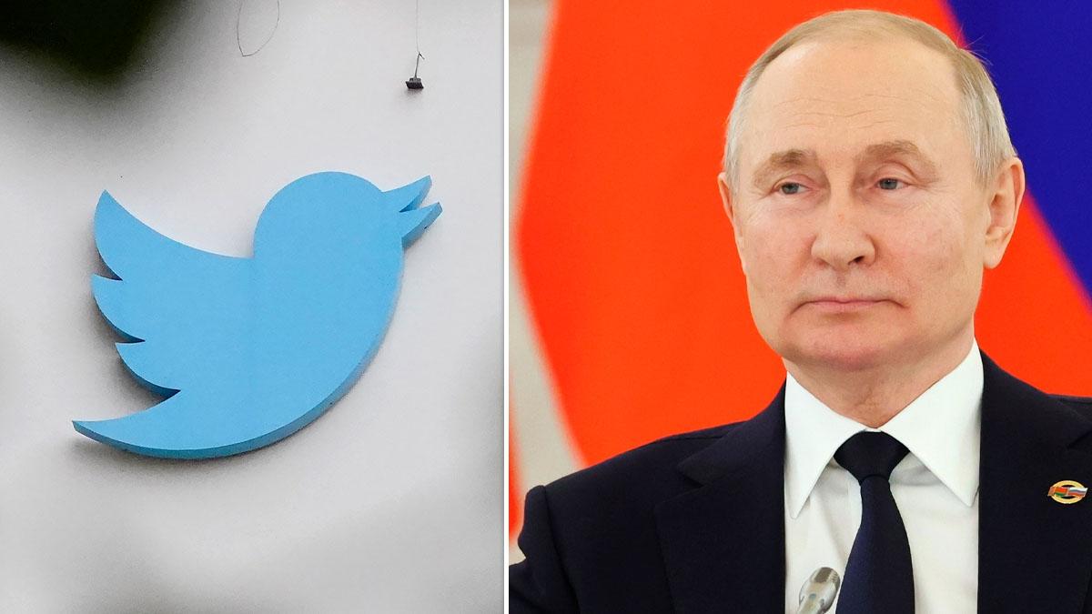 Putin Twitter