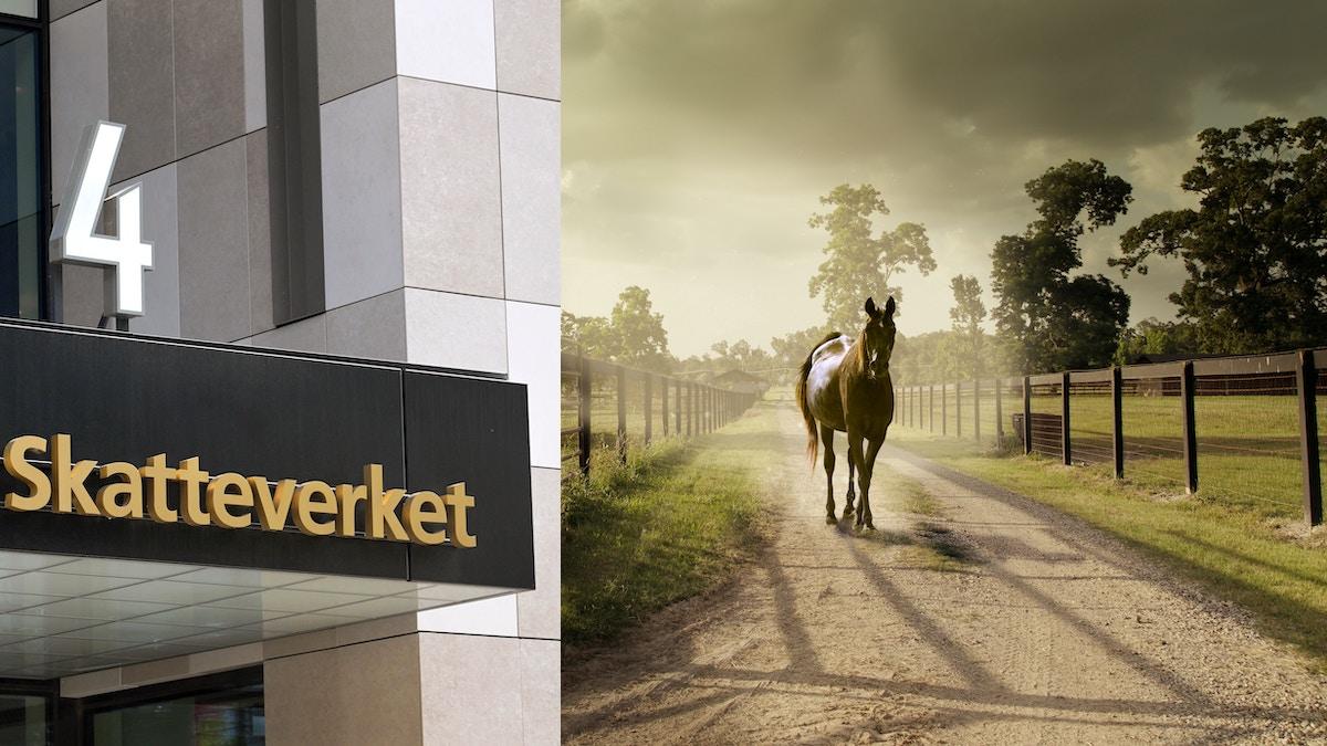 häst skatteverket