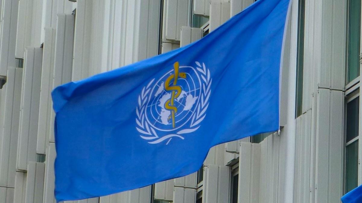 I nya riktlinjer säger WHO att sockerfria sockerersättningar inge ger någon hjälp till viktminskning.