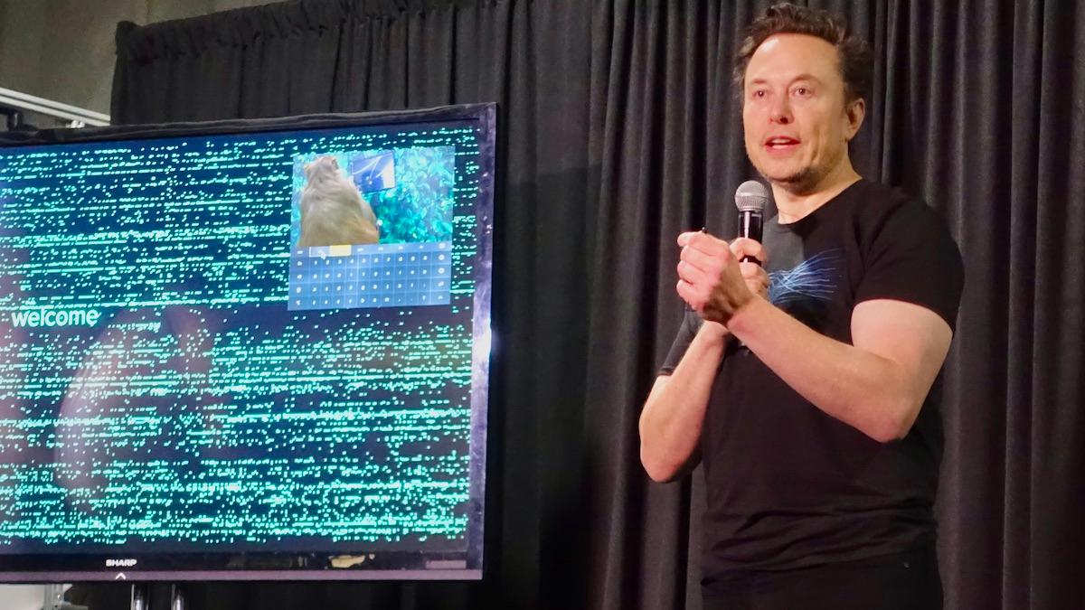 Elon Musk talar om Neuralink i november 2022. Nu har bolaget fått godkännande för att testa sitt hjärnimplantat i en klinisk studie på människa.