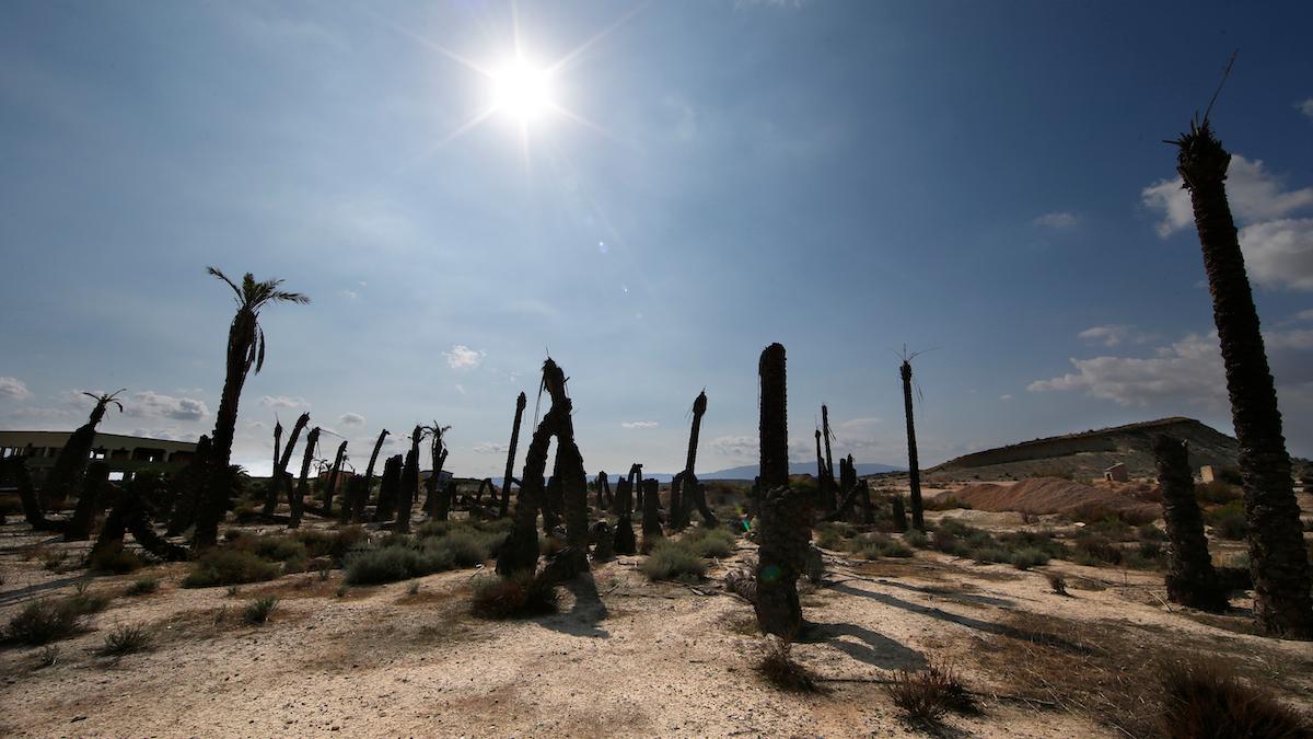 Spanien är hårt drabbat av torka