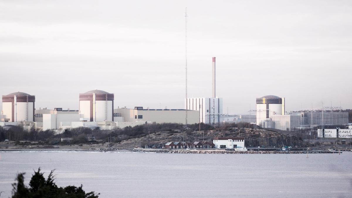Liberalerna: Bygg nya stora reaktorer vid Ringhals