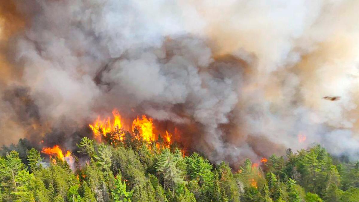 Det är sannolikt klimatförändringarna som gör att skogsbränder ökar. Hur påverkar det vår hälsa?