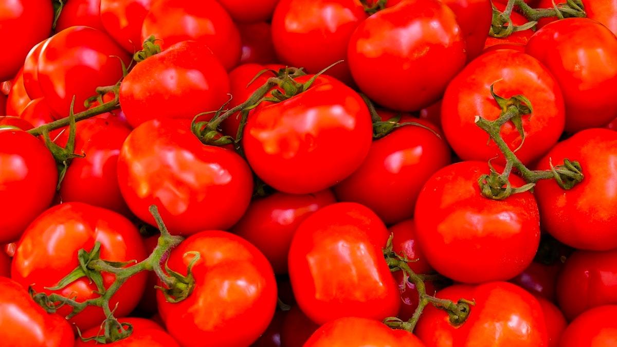 Översvämningar i Indien har gjort att priset på tomater ökat extremt mycket