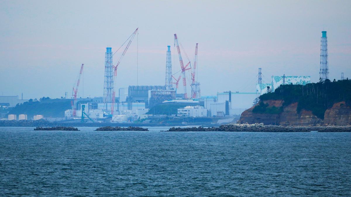 Fukushima Daiichi kärnkraftverk, sett från den närliggande fiskehamnen Ukedo i staden Namie. En fisk med 180 gånger högre nivå radioaktivt cesium än Japans lahgliga gräns har hittats nära kärnkraftsverket
