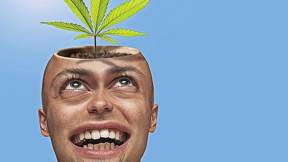 I USA må samhället ha glömt den effekt marijuana kan ha på hjärnan, med det har inte vetenskapen