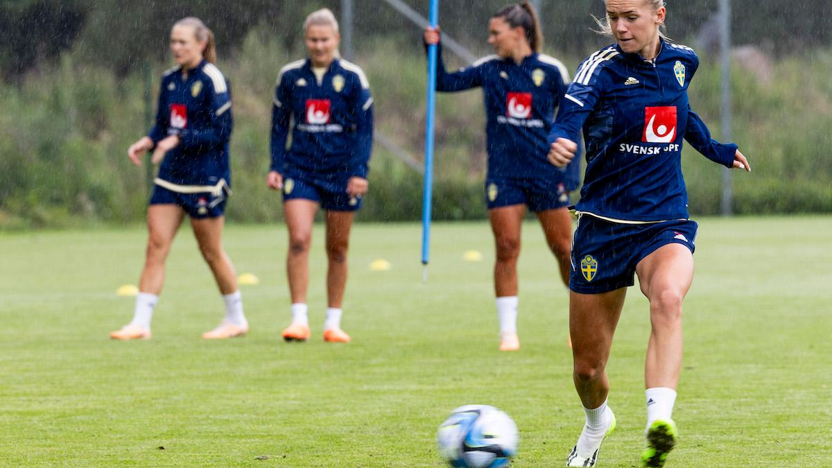 Svenska damlandslaget tränar inför fotbolls-VM. Korsbandsskador drabbar lättare kvinnliga fotbollsspelare än manliga, här är varför.