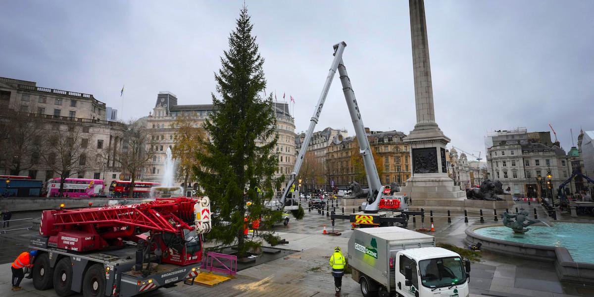 Årets norska julgran installeras på Trafalgar Square i London