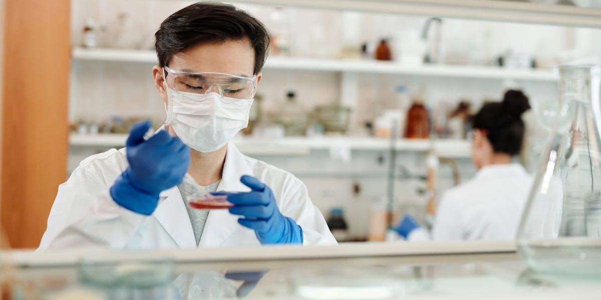 Forskare har skapat testiklar i ett labb i hopp om att kunna lära sig mer om manlig infertilitet
