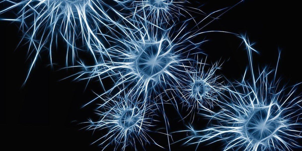 Nervceller i hjärnan. Neurologiska störningar har ökat avsevärt de senaste 30 åren