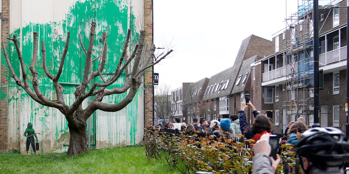 Ett hårt beskuret träd fick natten till söndag en grön krona målad på fasaden bakom, och det är Banksy som ligger bakom målningen