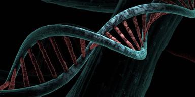 DNA. Forskare har upptäckt att DNA inte bara är en högervriden dubbelspiral.