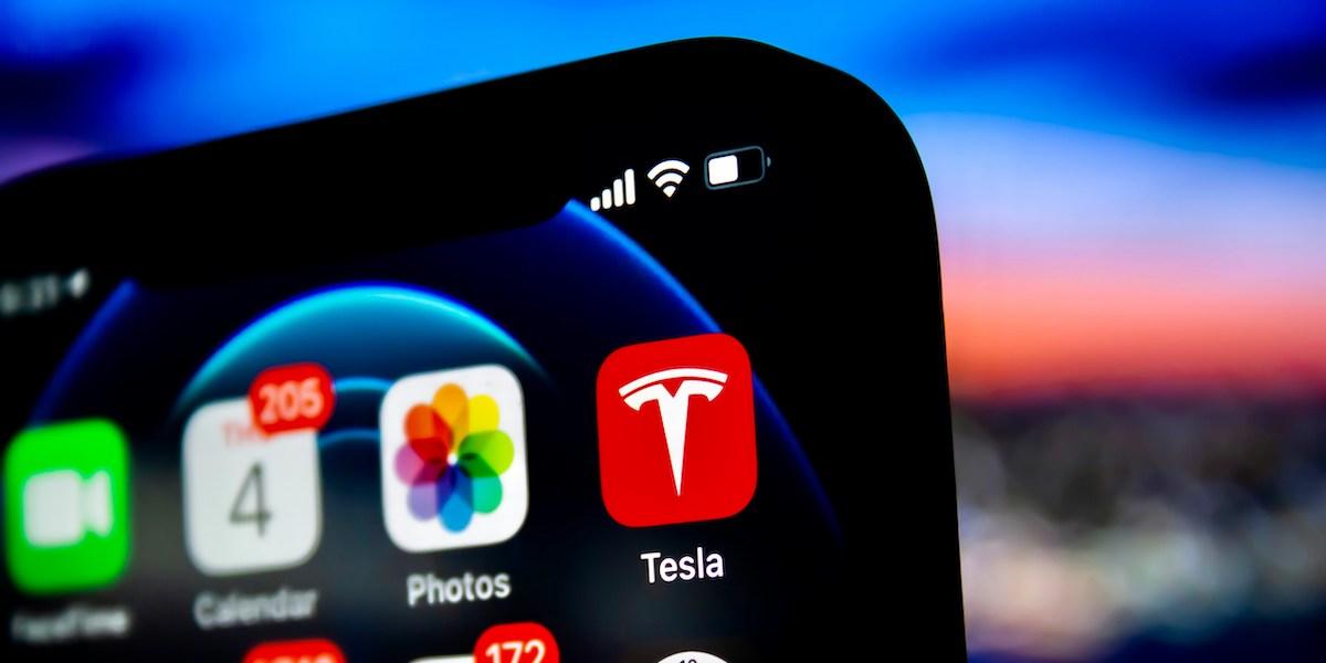 Tesla-anhängarna är splittrade över Elon Musks ledarskap