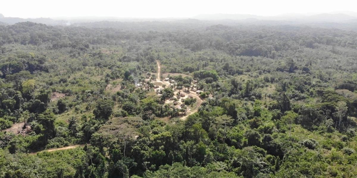 Yarkpa Town ligger mitt i den liberiska regnskogen som nu har sålts till Blue Carbon genom kolkrediter.