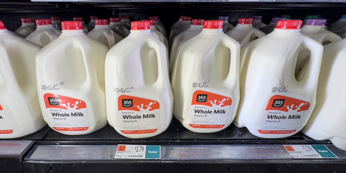 Mjölk i plastdunkar. I mjölk i amerikanska livsmedelsbutiker har USA:s livsmedels- och läkemedelsmyndighet hittat H5N1-virus, som orsakar fågelinfluensa.
