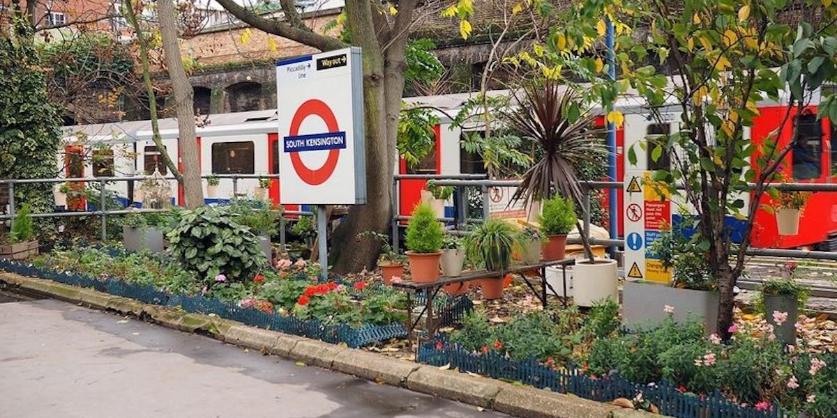 Londons gröna förvandling ses numera vid tunnelbanan intill South Kensington-stationen.