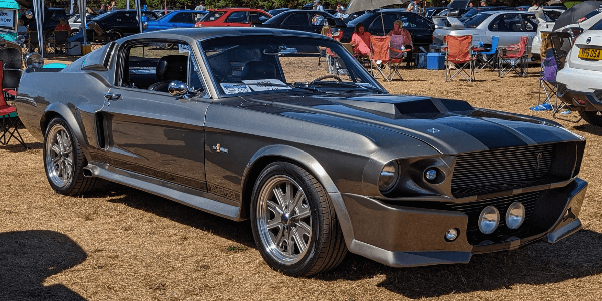 Ford Mustang Shelby GT500E (Foto: Calreyn88 Creative Commons Attribution-Share Alike 4.0)