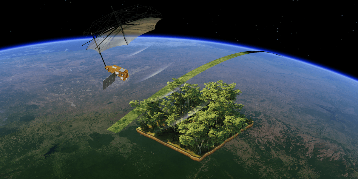 Satelliten Biomass avslöjar jordens skogar i 3D.