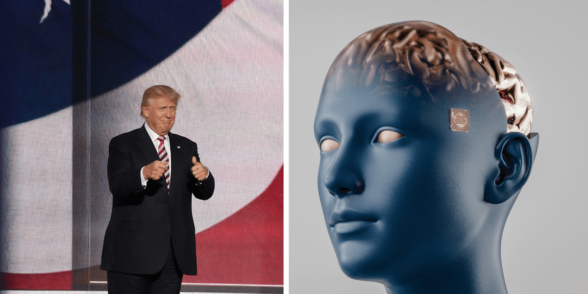 President Trump vill vinna alla kamper. (Foto: History in HD och Alex Shuper på Unsplash)
