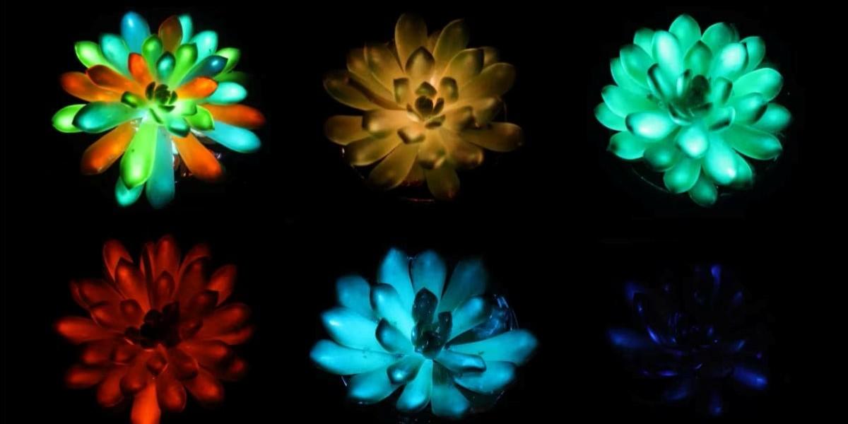 Forskare vill ersätta gatlyktor med lysande växter