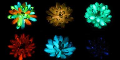 Forskare vill ersätta gatlyktor med lysande växter