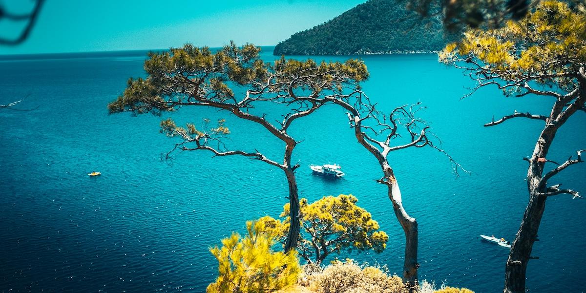 Forskare har hittat stora mängder plast på havsbottnen i östra Medelhavet.