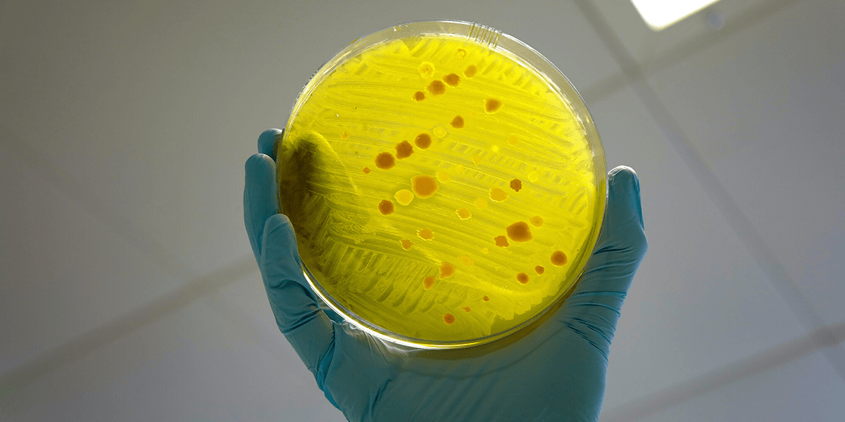 antibiotikakris