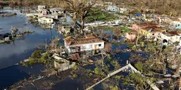 Så kan vi rädda klimatet – efter Trump