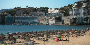 Palma