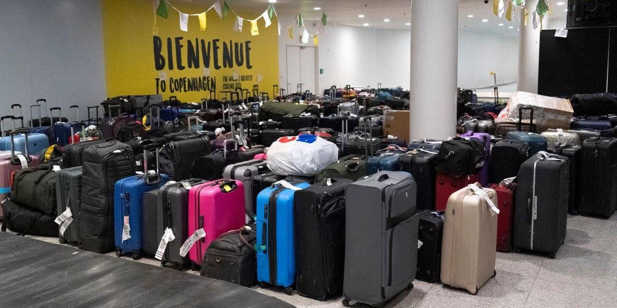 Hundar är bagage, enligt EU-domstolen
