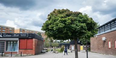 Södertälje vill ha pengar tillbaka