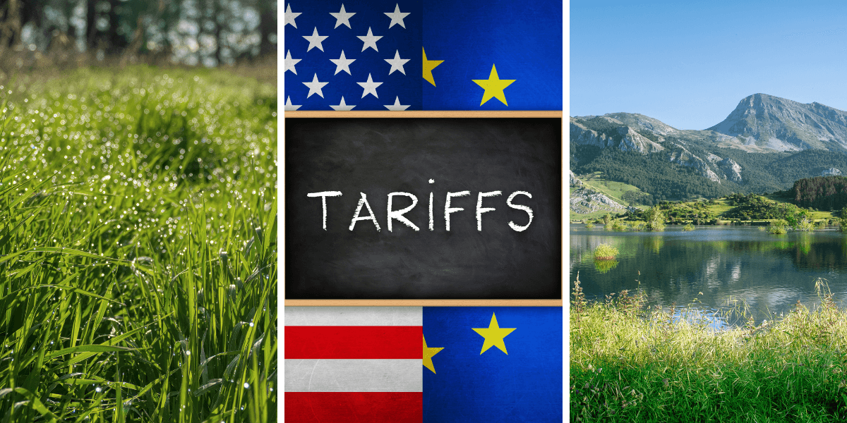 Årets ord är utsedda av Merriam-Webster. (Foto: Canva)