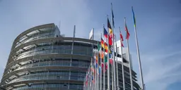 Glöm EU-hatet – unga vill ha Europas förenta stater