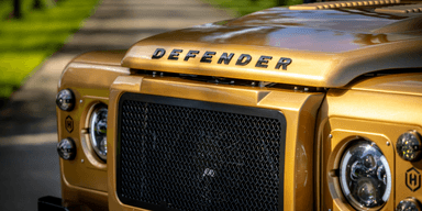 Kolla in denna sköning i guldbrons. (Foto: Helderburg)