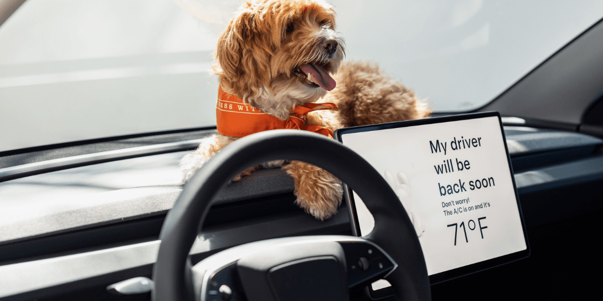 En billigare Tesla är här och hundarna godkänner. (Foto: Tesla)