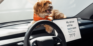 En billigare Tesla är här och hundarna godkänner. (Foto: Tesla)