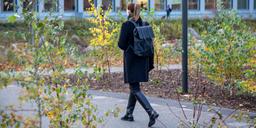 Professorn: Därför ska du sluta gå till jobbet