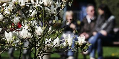 Gör något kul och slipp inflammationer - experternas råd