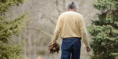 1 av 10 över 70 kvalificerad för Alzheimers-medicin