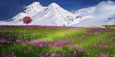 Rekordvärme i alpländerna gör att snön smälter på alptopparna. Snart har kanske inte längre Alperna vita toppar på sommaren
